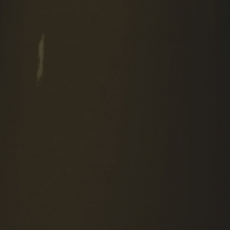 RAL 8022